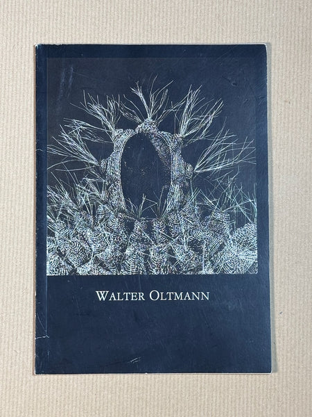 Walter Oltmann: Standard Bank young artist 2001