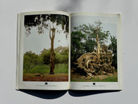 The Sacred Groves of Oshogbo - Susanne Wenger