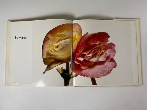 Flowers by Irving Penn – Gallery Bon Bon